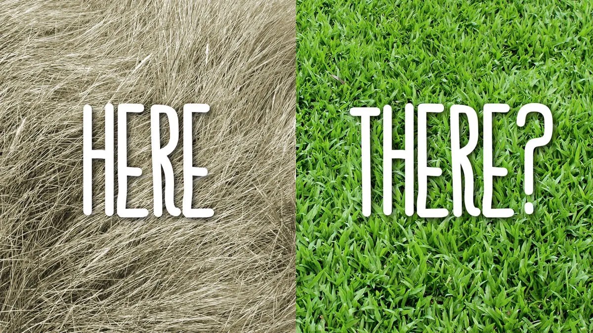 The Evil of Unbridled&nbsp;Comparison