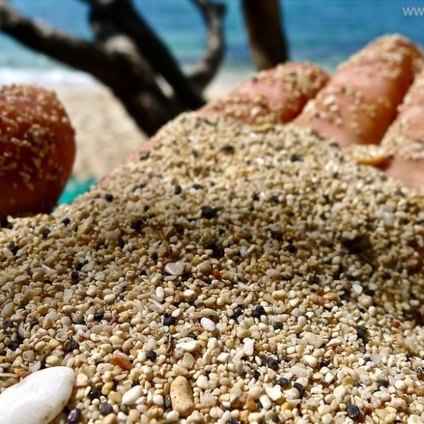 Divine Wind and&nbsp;Wave