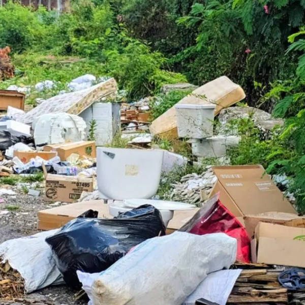 Waltham Park Road – symptoms of a nation in&nbsp;distress