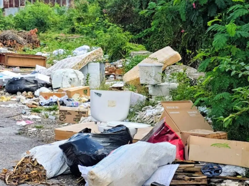 Waltham Park Road – symptoms of a nation in&nbsp;distress