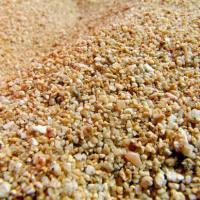 Finding Humility in the Vastness of&nbsp;Creation