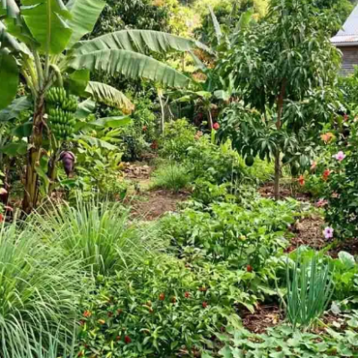 The Gardener Has Not Left the&nbsp;Garden